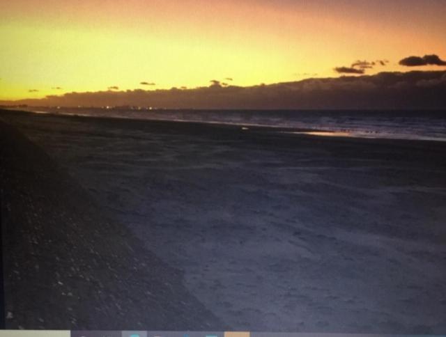 Appartement Studio Face A La Mer Bray-Dunes Eksteriør bilde